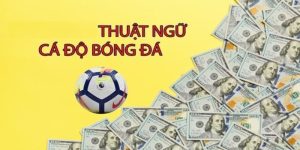 Thuật Ngữ Cá Độ Bóng Đá Thông Dụng Tại Nhà Cái VN88